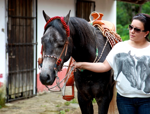 Paseos ecuestternera